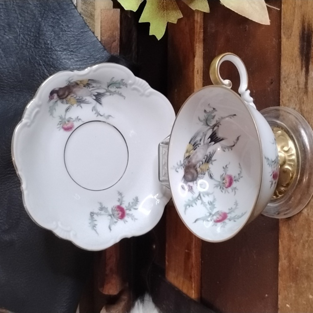 Ebecthal Elegant Floral Teacup and Saucer Set